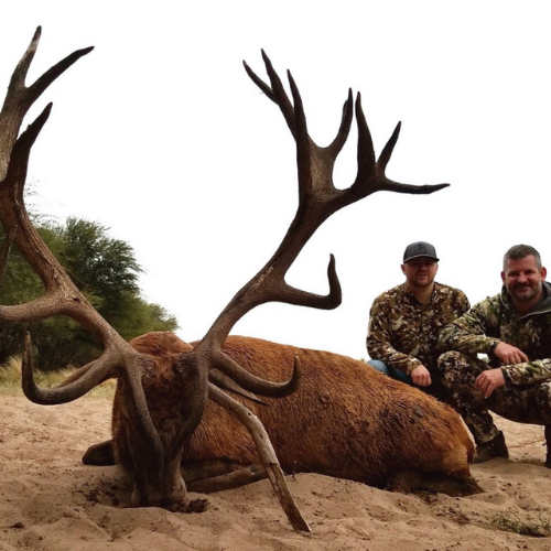 https://truflightadventures.com/wp-content/uploads/2022/06/Argentina-Red-Stag-Hunting-1.png