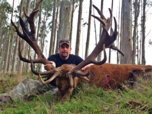 Read more about the article New Zealand Red Stag