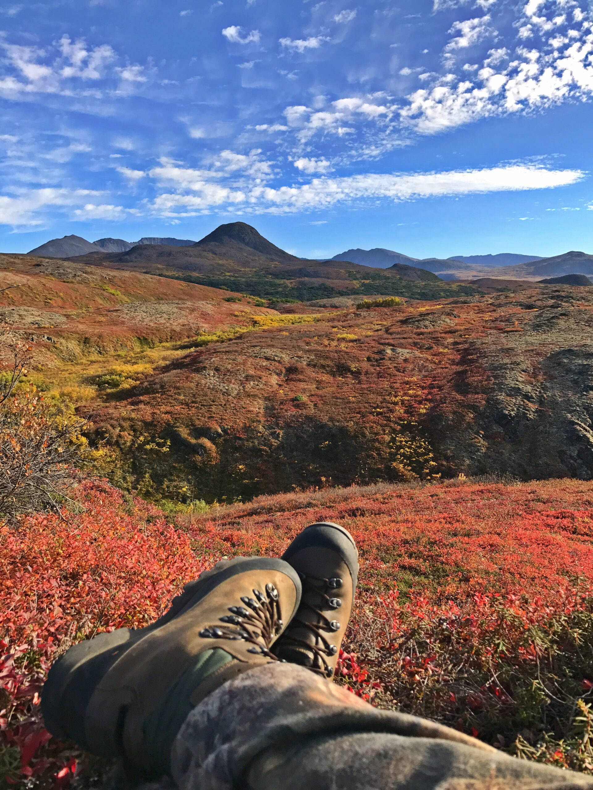 Read more about the article Packing for Alaska