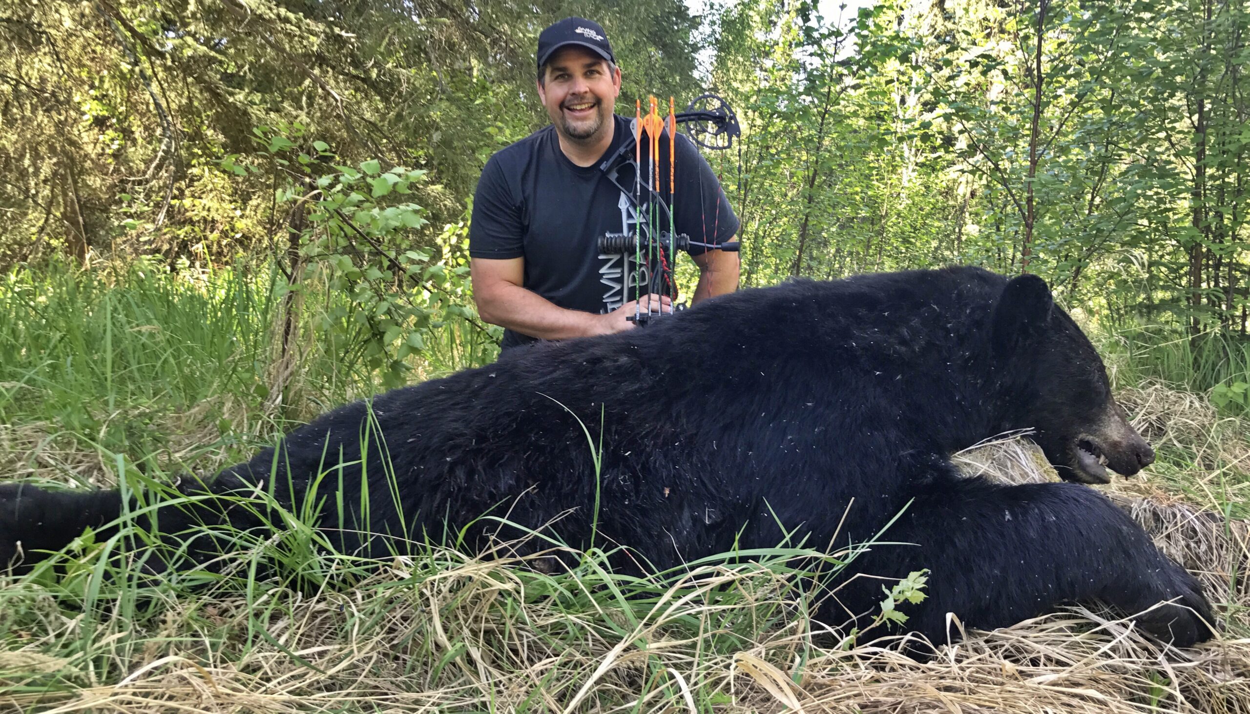 You are currently viewing Giant Alberta Black Bear