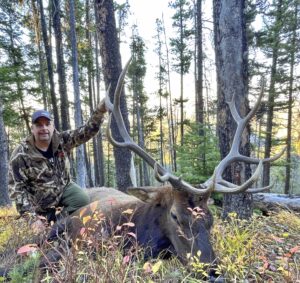 Read more about the article Bowhunting Elk