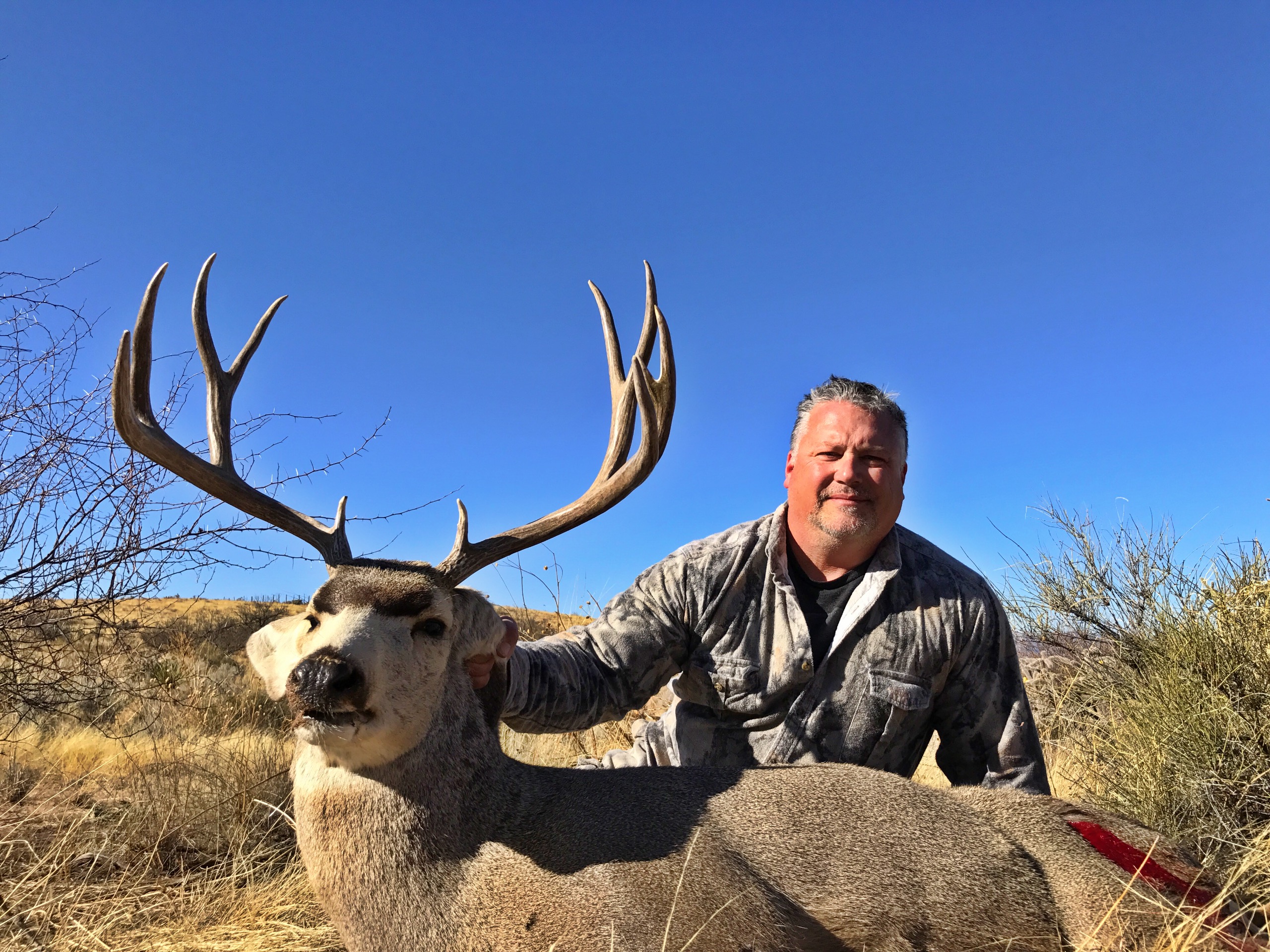 You are currently viewing Mexico Mule Deer Hunt Report
