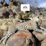 Namibia Leopard Hunt Report