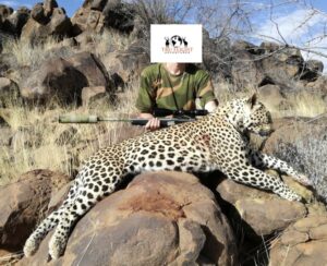 Read more about the article Namibia Leopard Hunt Report