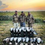 Waterfowl Hunting