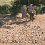 Dove Hunting in Argentina