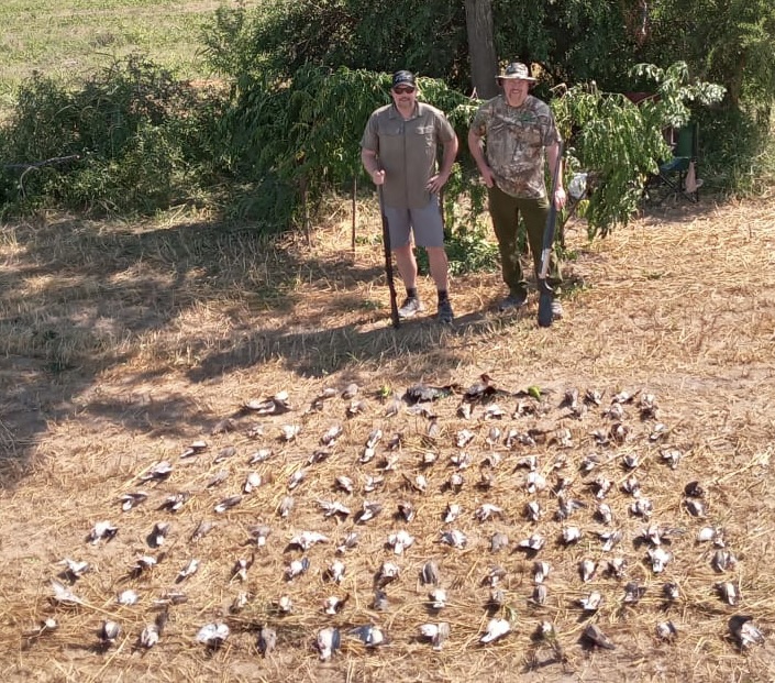 You are currently viewing Dove Hunting in Argentina