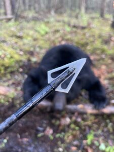 Read more about the article Magnus Broadheads